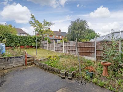 Picture 20